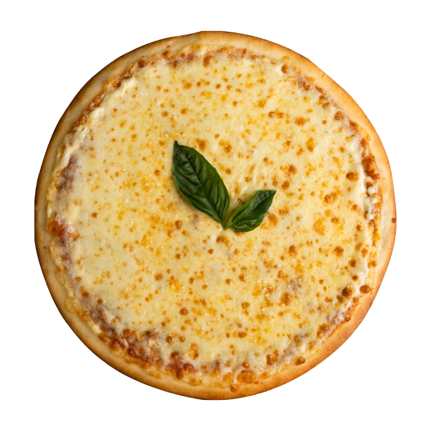 Double Cheese Margherita